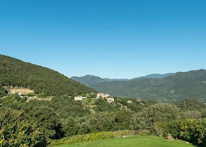Au Coeur De L'arriere Pays Rez De Chausse De Domaine A Presa Ferienhaus